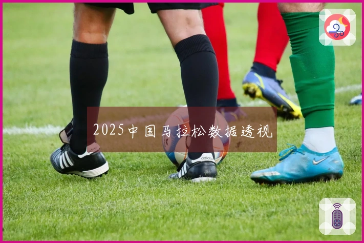 2025中国马拉松数据透视